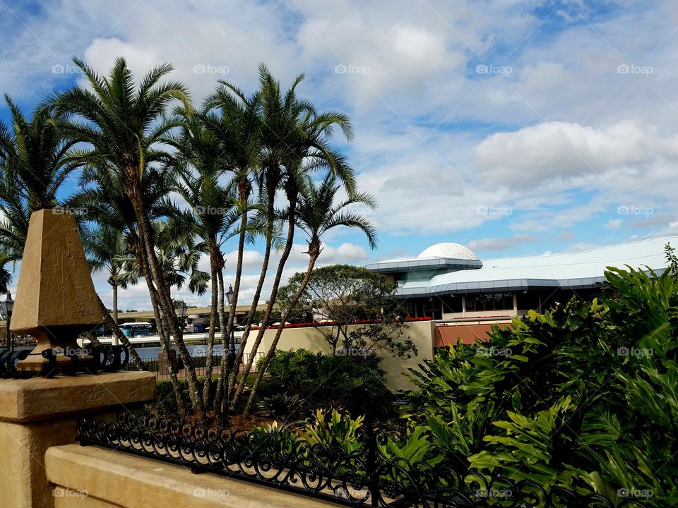 Palm, Resort, Hotel, Tree, Tropical