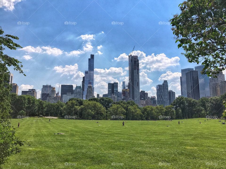 Sheep Meadow