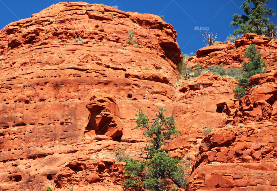 Eagle Formation in the Desert Rock-Orange & Blue