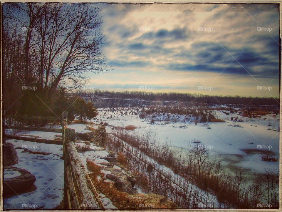 nature park beauty in winter