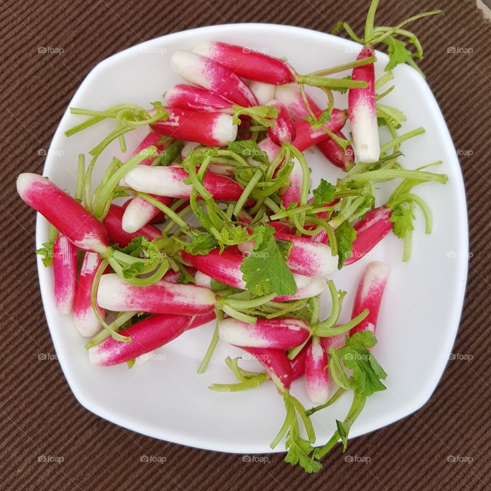 full plate of fresh organic radish