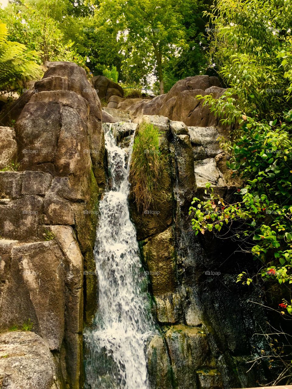 Waterfall at Golden Gate Park