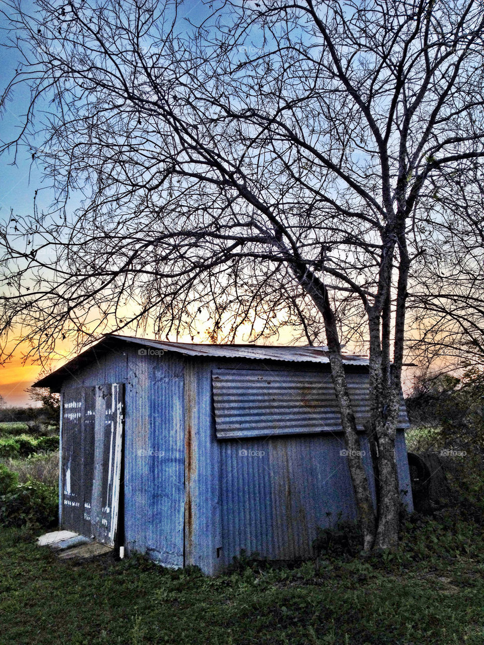 sunset tool shed texas by an06527