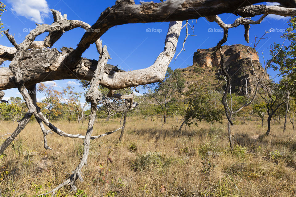 Chapada das Mesas Maranhao Brazil.