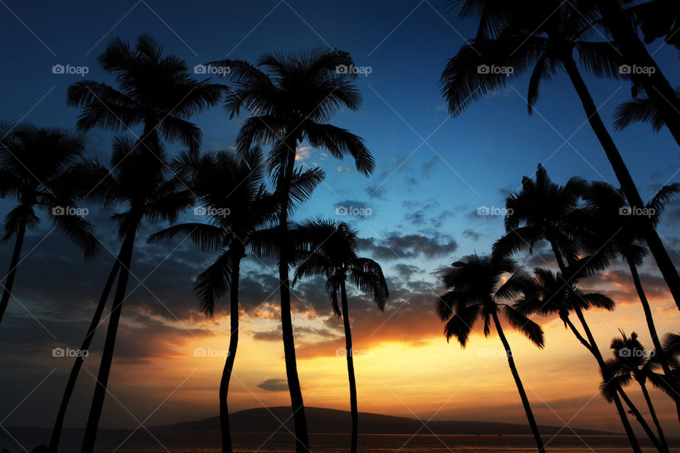 Hawaii sunset