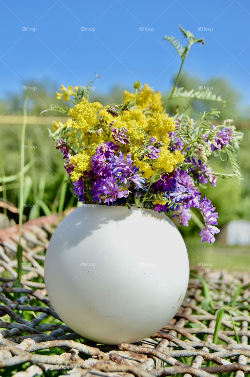 Beautiful wild and meadow flowers are a multi-faceted colorful gift of Mother Nature