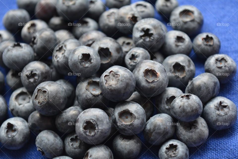 blueberries close up