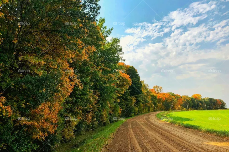 Country Roads