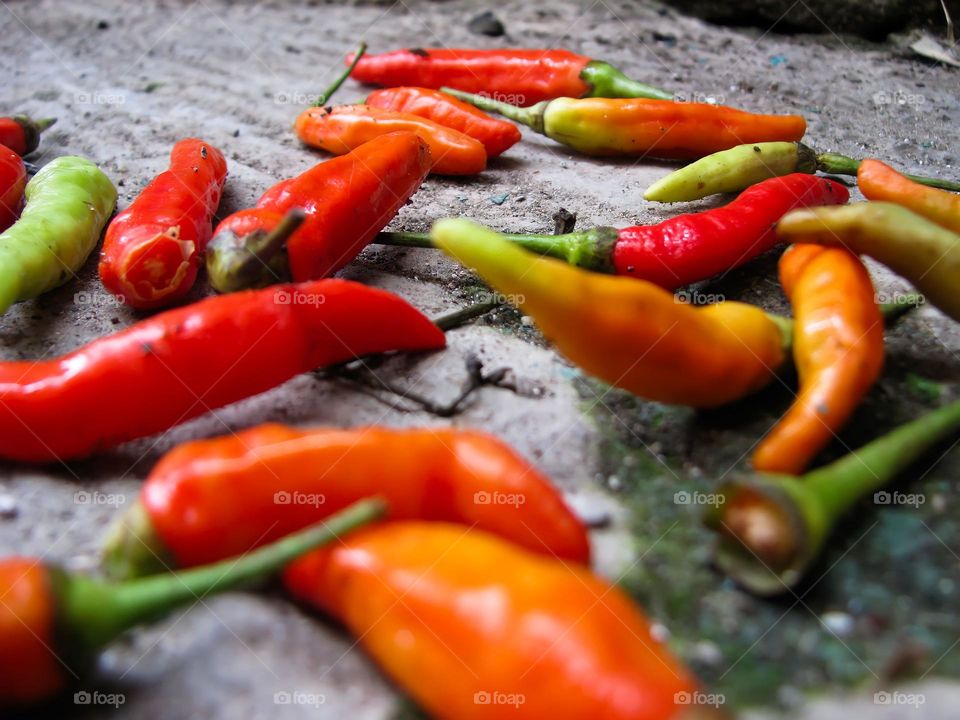 Close-up of fresh cayenne pepper on the ground