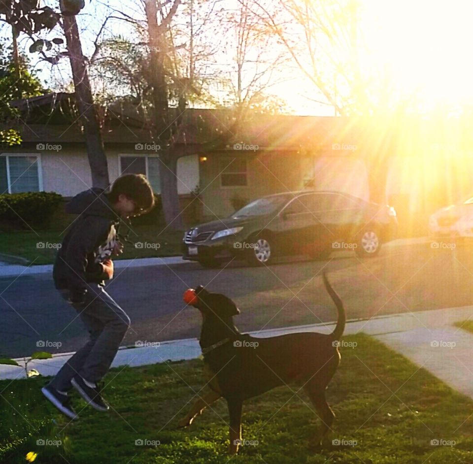 rise & play fetch & jump!. just another morning from my house