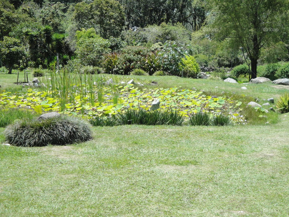 green botanical garden