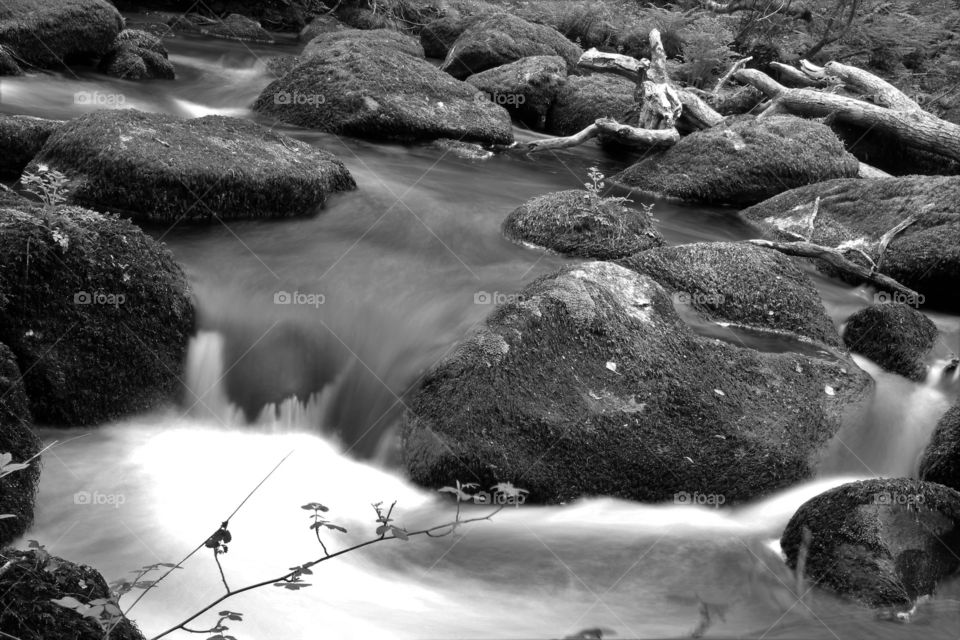 River Bovey in black and white