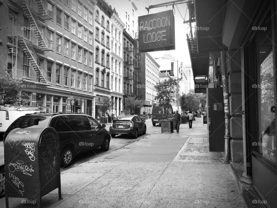 WHERE'S RACOON. Downtown, NYC.