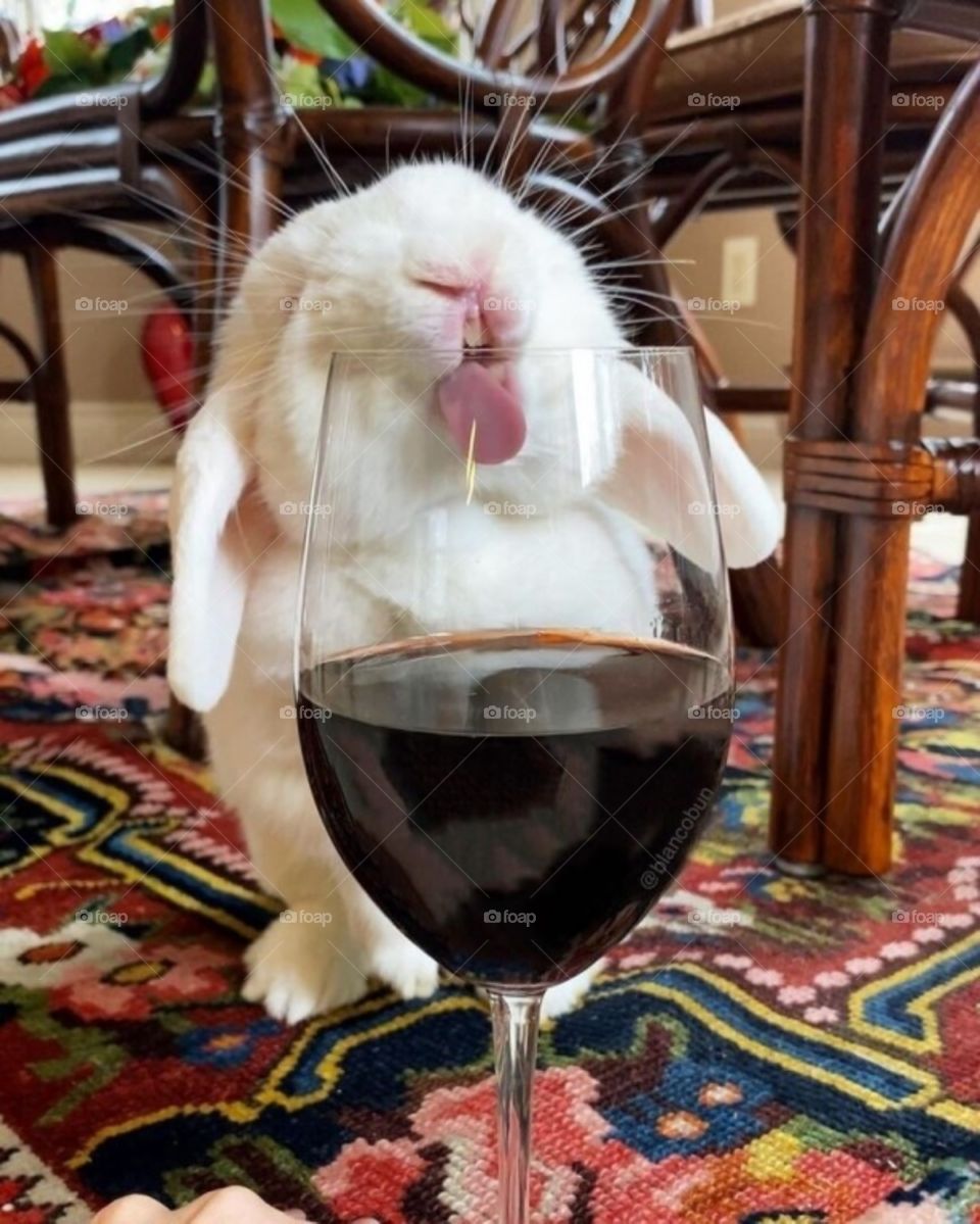 👍🐇🍷