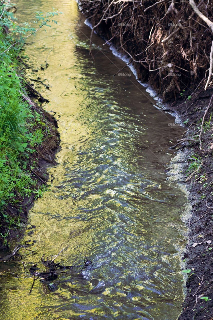 Hidden Colors - a gently flowing  creek reflecting the yellow green color of the trees' spring leaves on its banks  