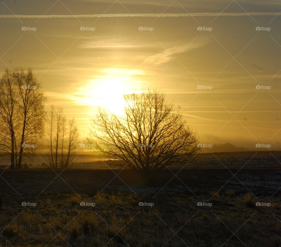 Hullsjön at wintermorning