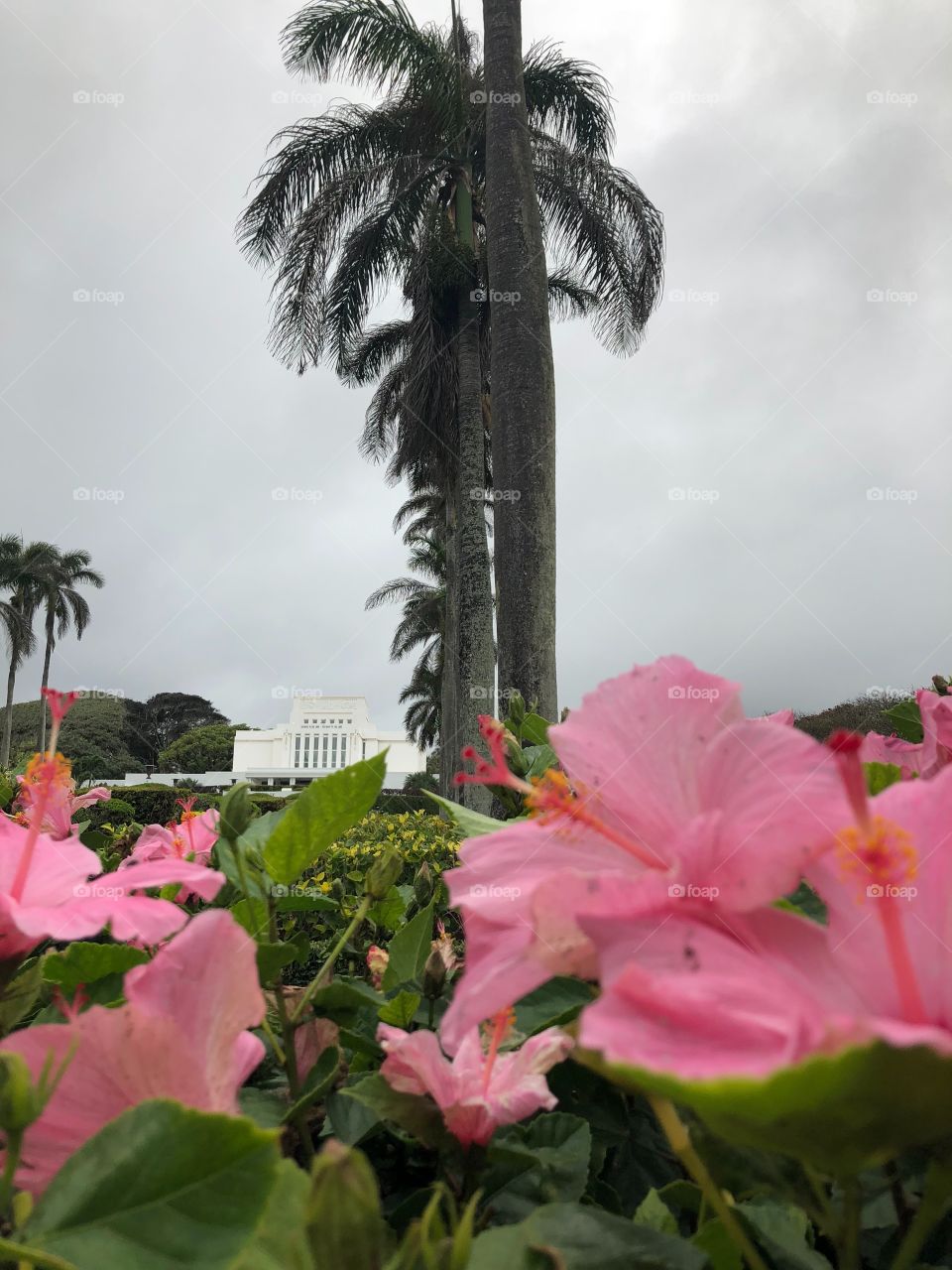 LDS Laie Hawai‘i Temple