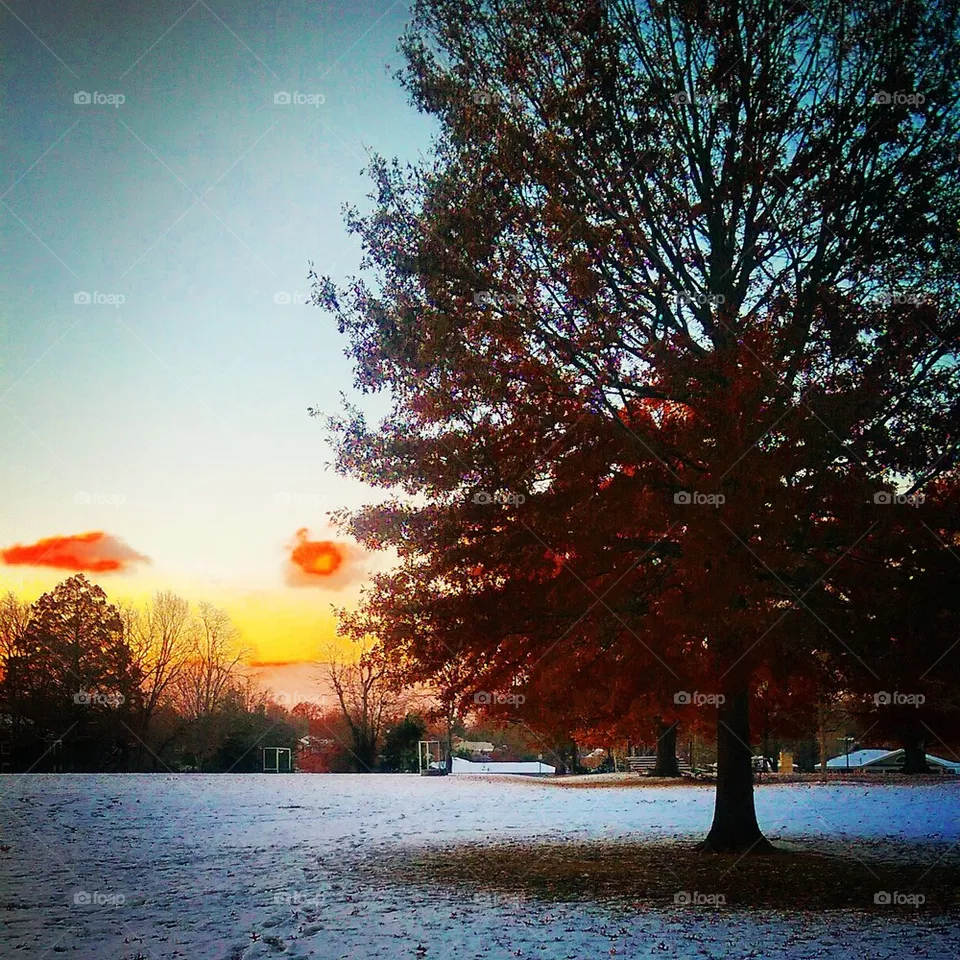 Snowy Day 