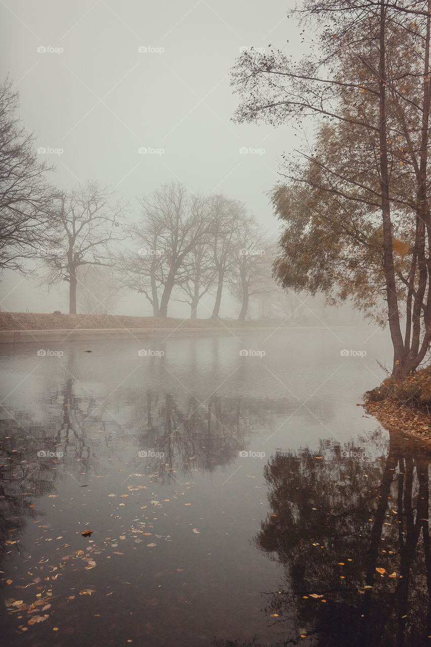 Misty landscape with pond in late autumn 