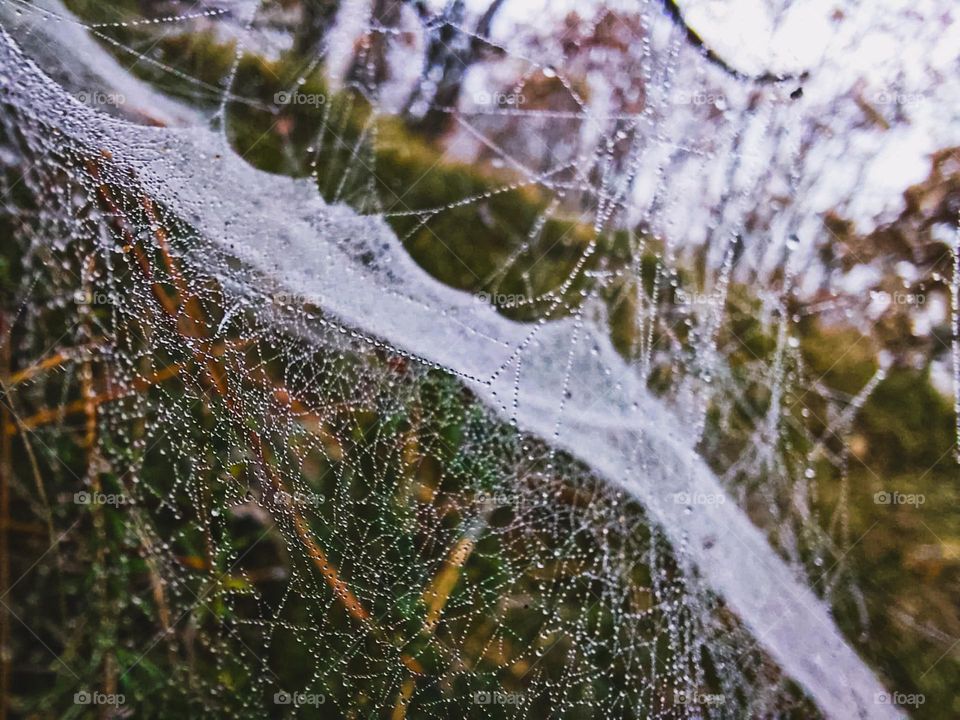 icy web,1 wrong step