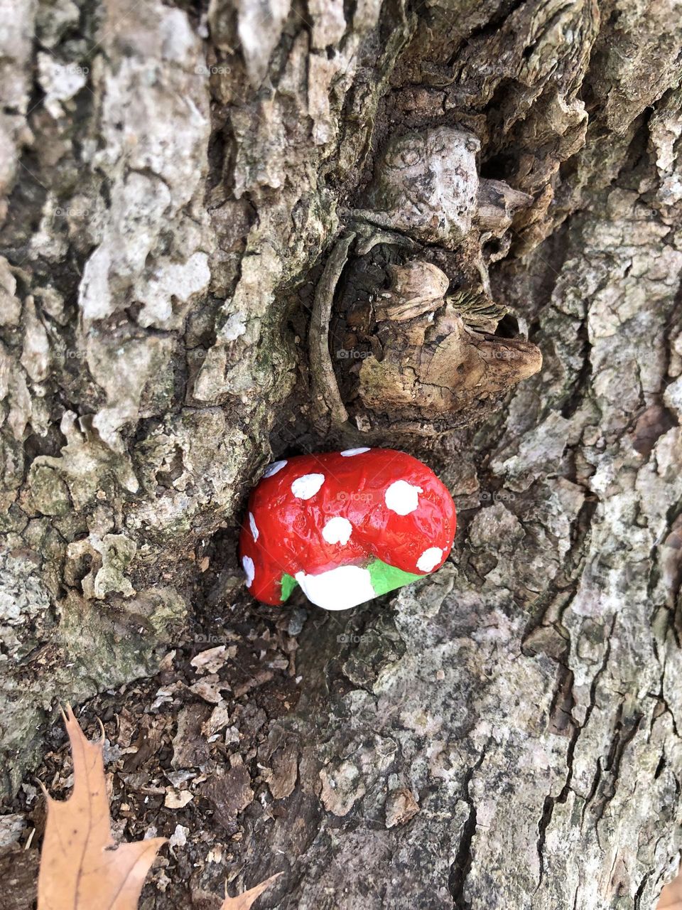 Hidden Hand Painted Toadstool Rock