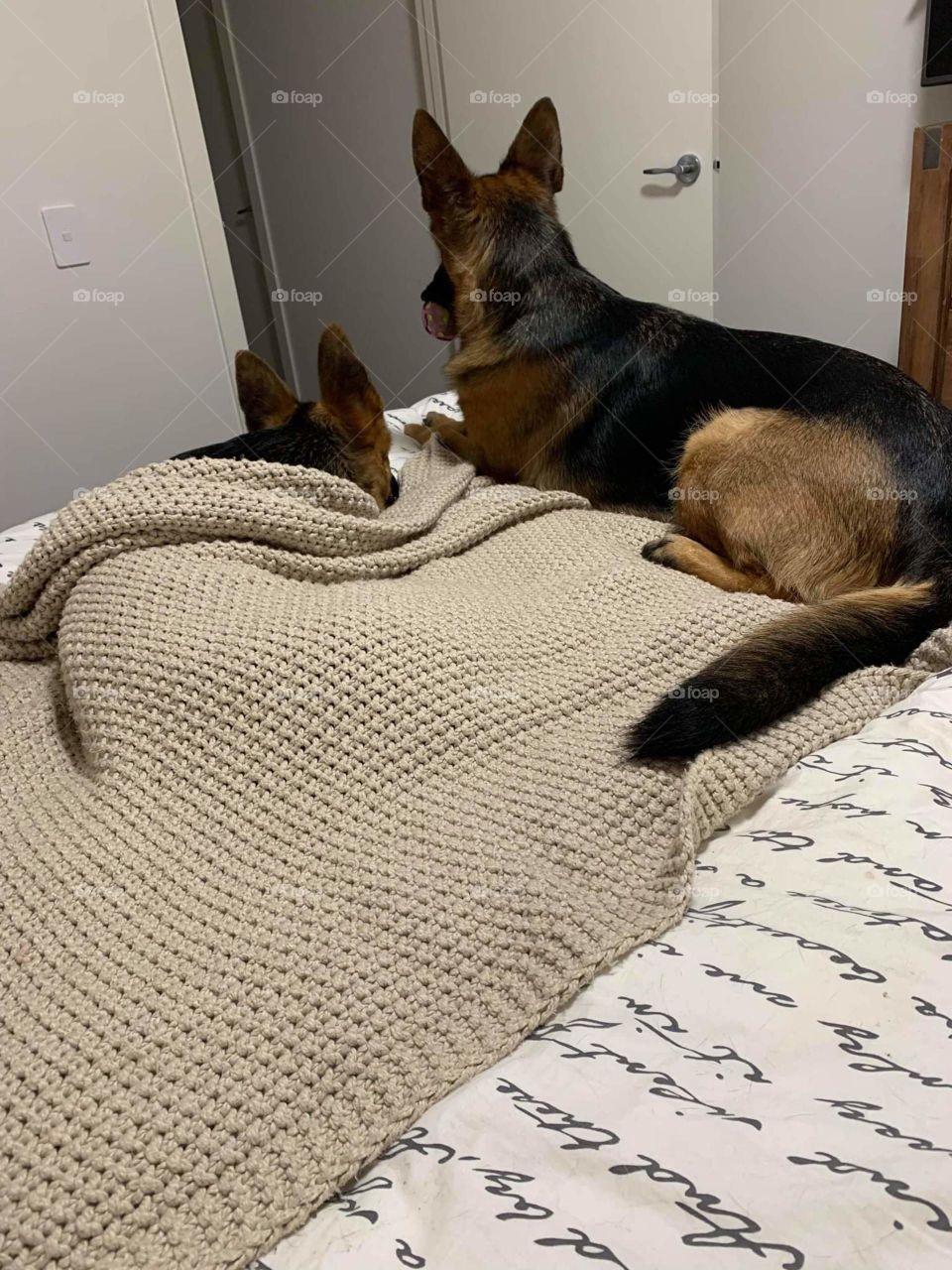 Hurry up Mum!!! its bedtime... we're waiting!!