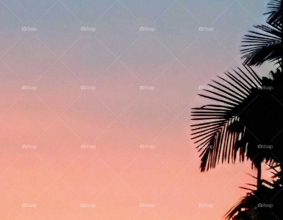 Silhouette at Sunset