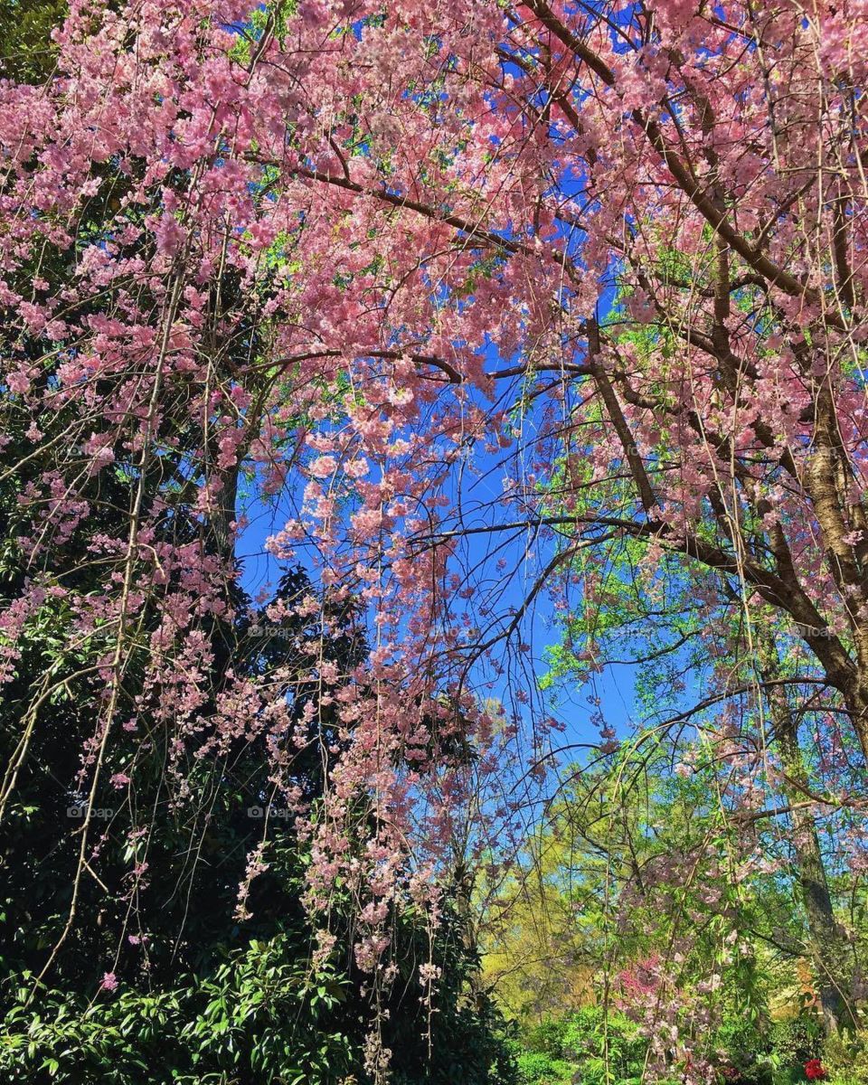 Don’t rush perfection, the Earth takes its time growing beautiful art, so can you. 