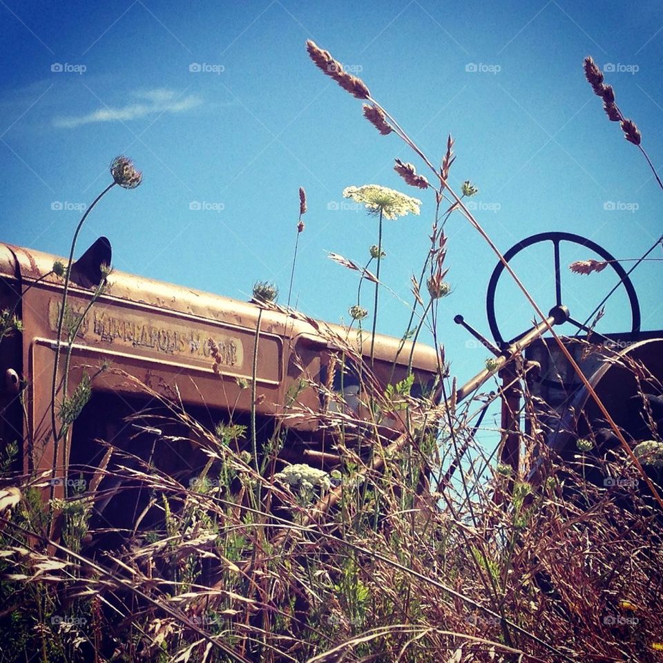 tractor in the field