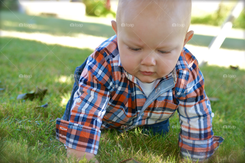 nature grass crawling crawl by somebeach