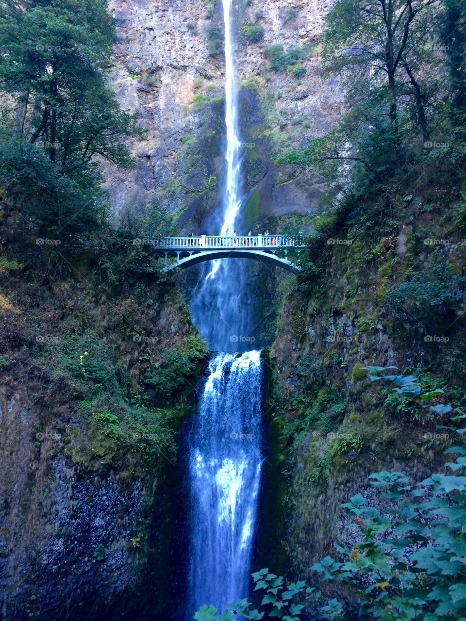 Water falls . Multnomah falls bridge 