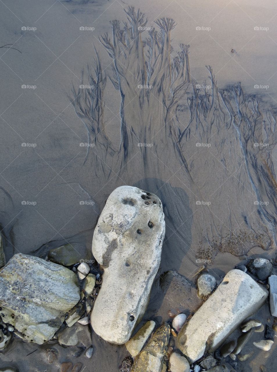 Low tide at Paradise Cove, CA