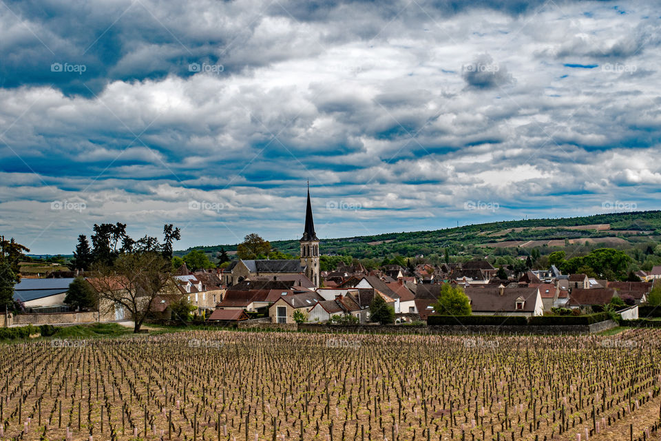 Burgundy, France, wine production area