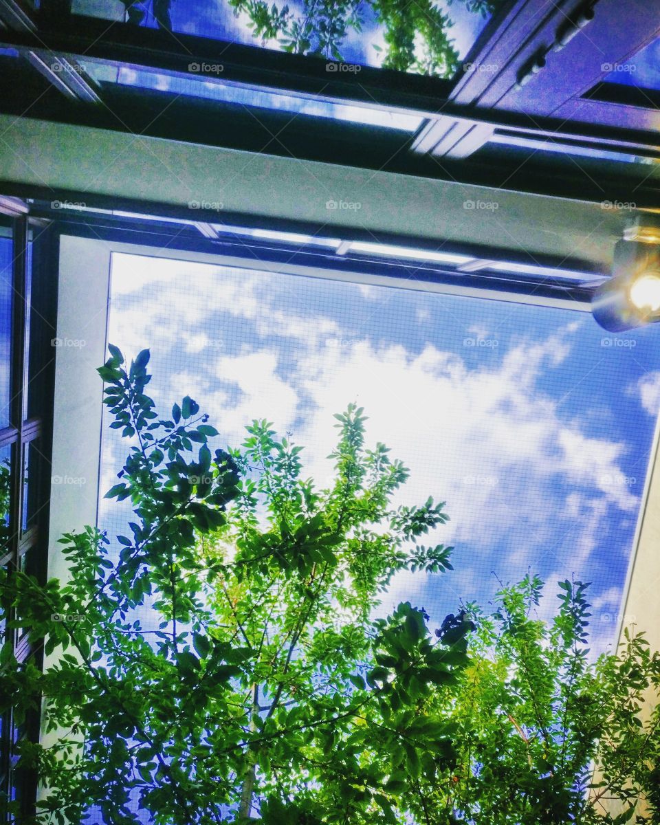 #garden #within #building