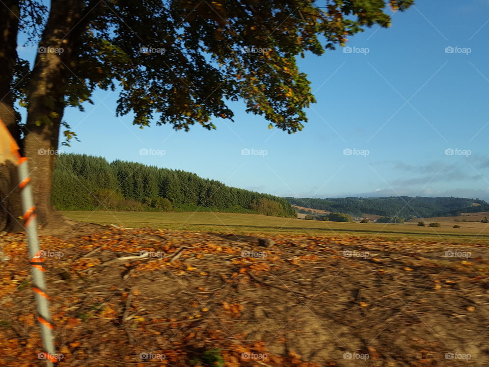 Landscap of nappa valley