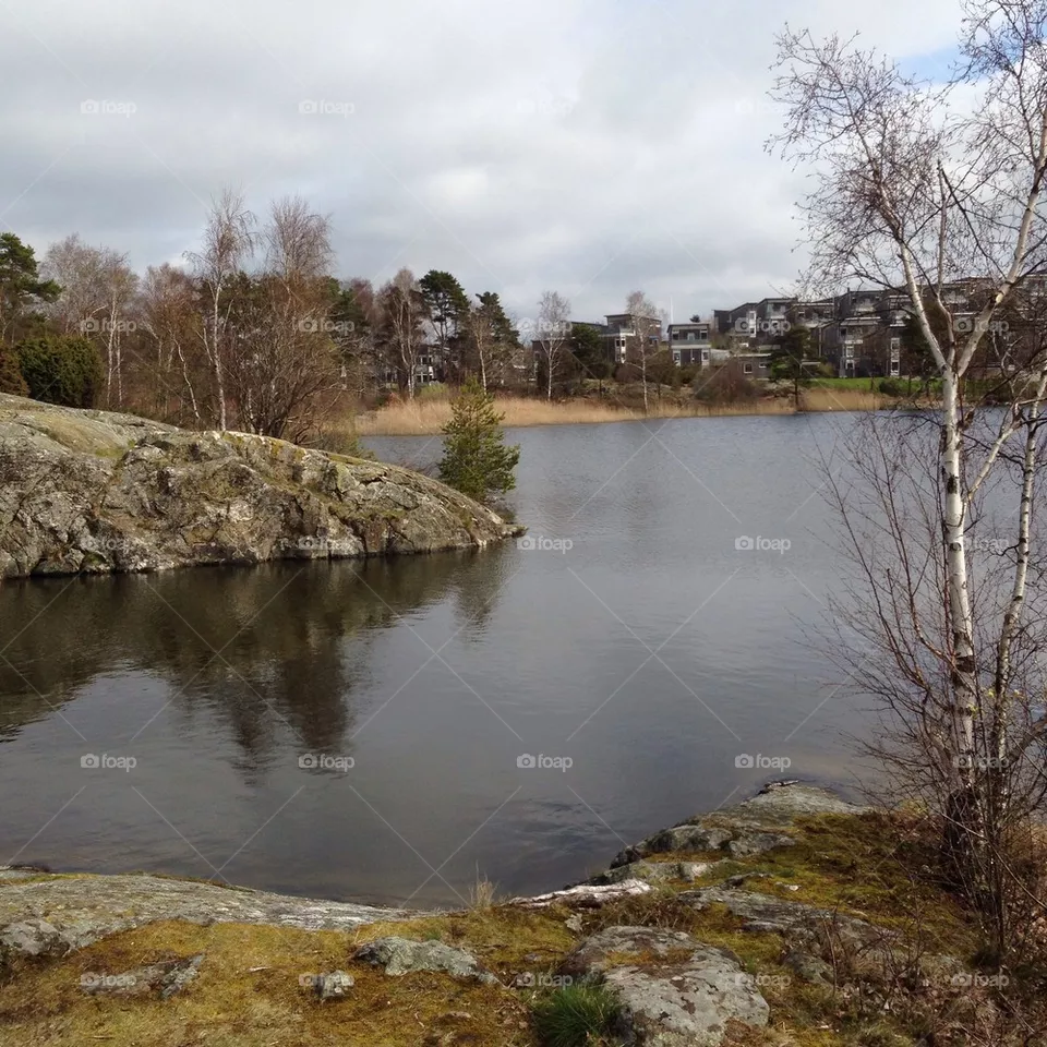 Pond