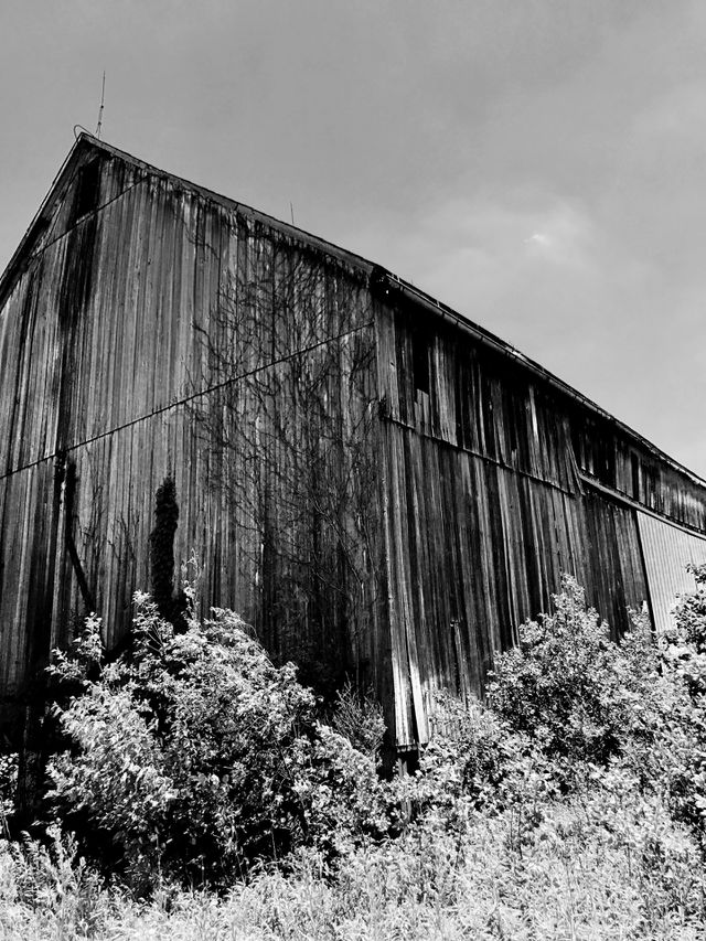 Barn