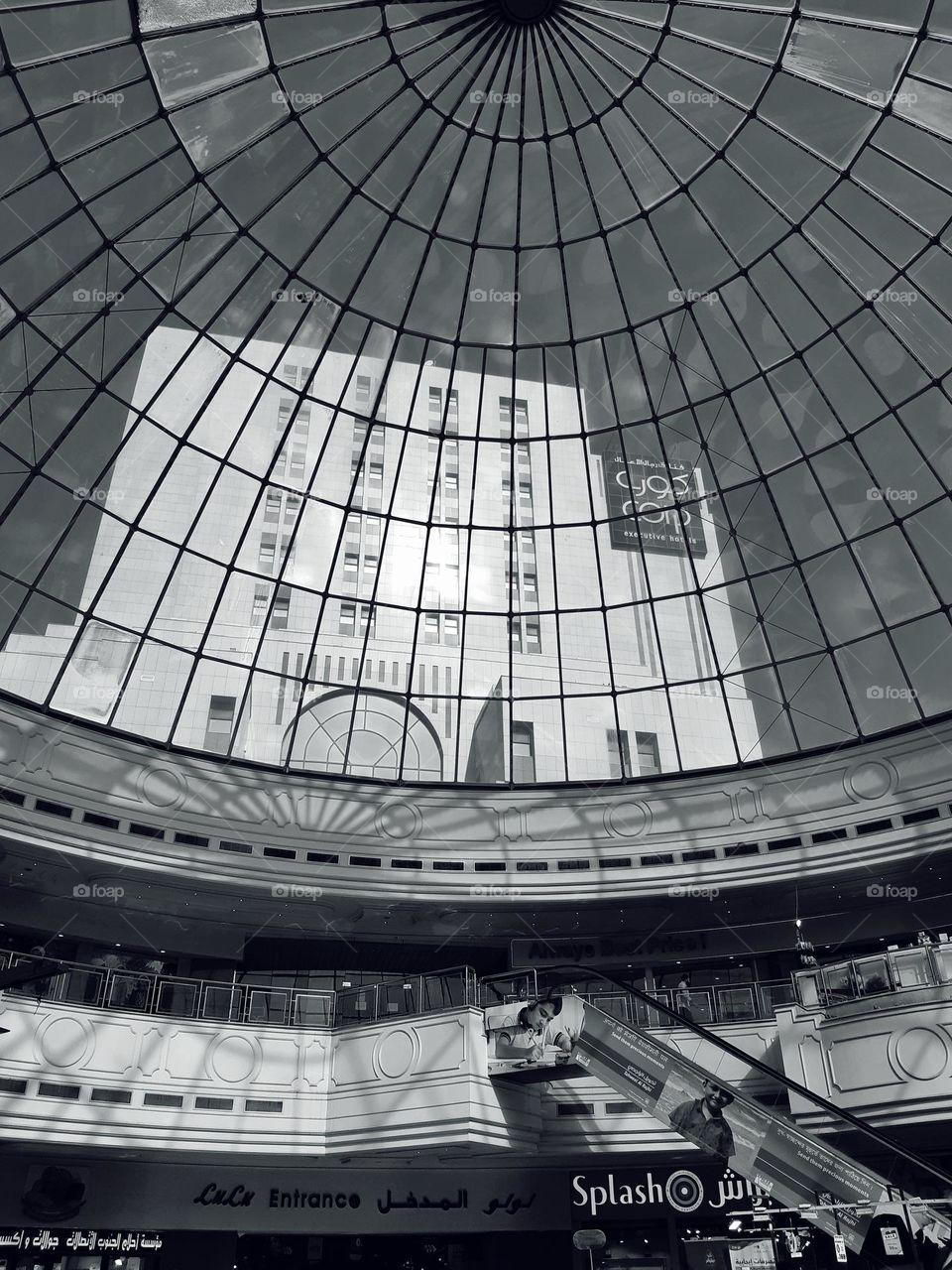 Beauty perishes in life but is immortal in art.