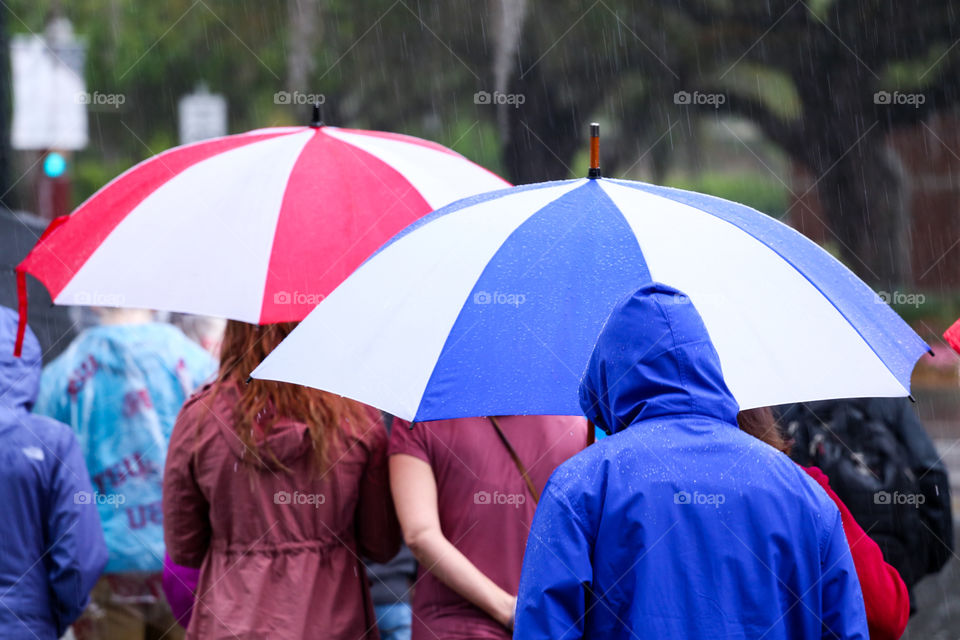 Group of people walking in the rain with their umbrellas in Florida. 