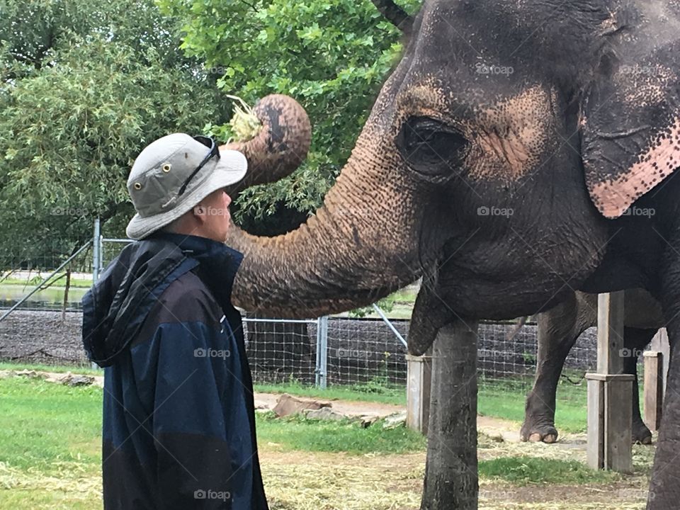 An elephant at an Ontario attraction has a moment with its handler while giving several excited children a ride on its wide back. 