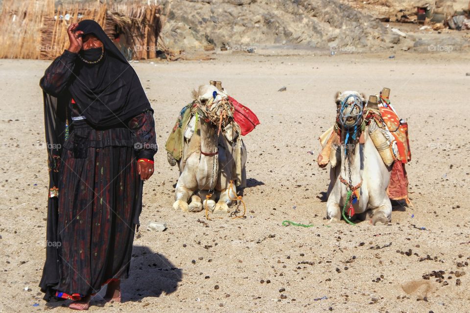 bedouin woman standing by the camels
