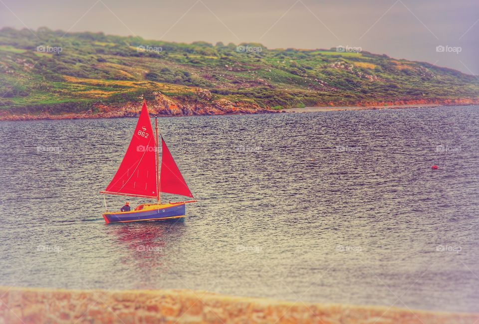 Red Sailboat. A red sailed boats sails out to sea