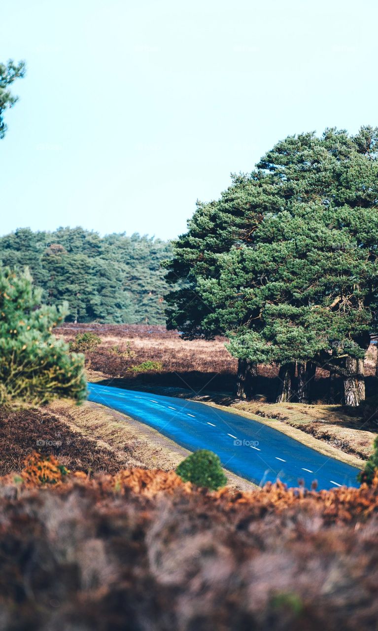 So schöne Natur das sogar die Straße gut aussieht