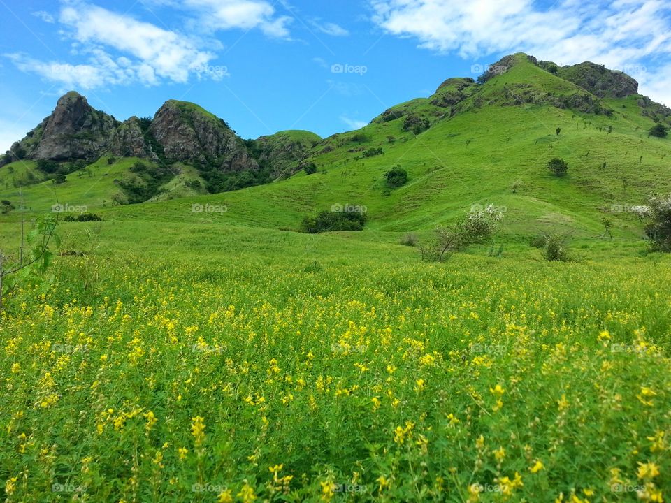 The hill between Mbay and Riung
