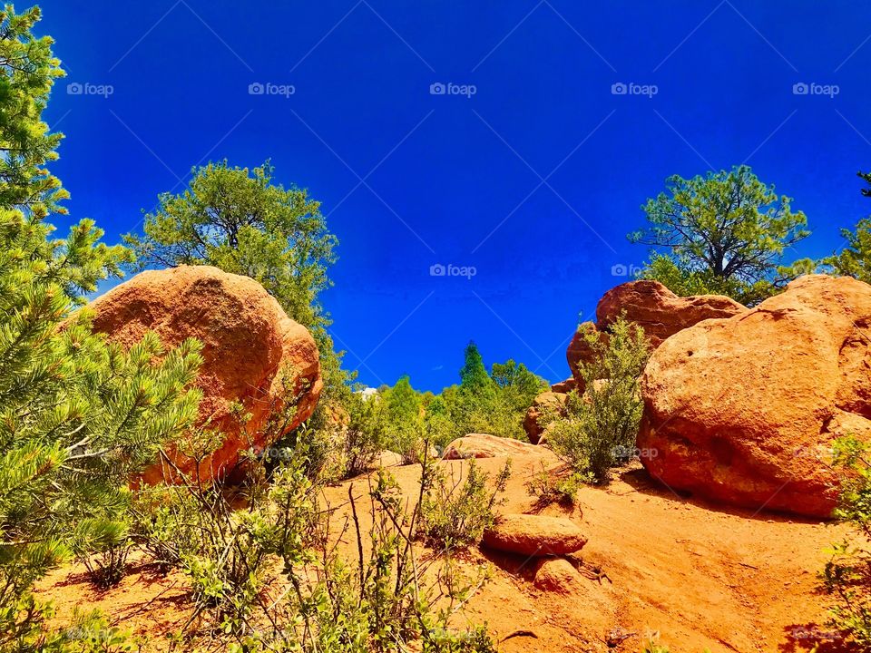 Rock formations and trees off of one of the hiking trails at Garden of the Gods in Colorado Springs, Colorado on a beautiful summer day