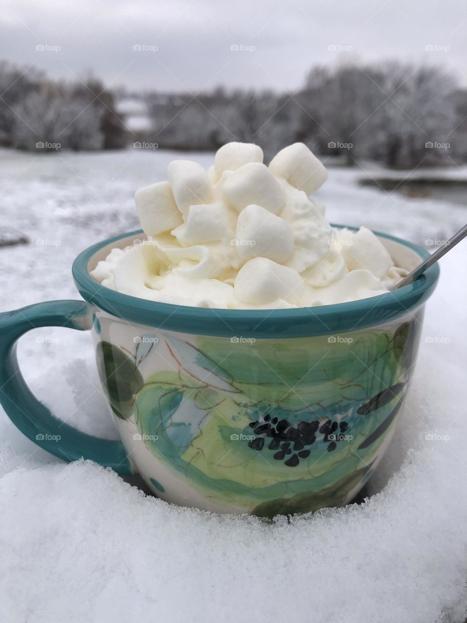 Hot Chocolate on a Winter Day 