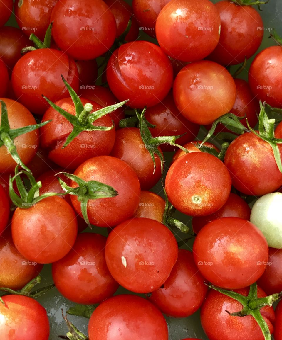 Batch of Tomatoes- After Run