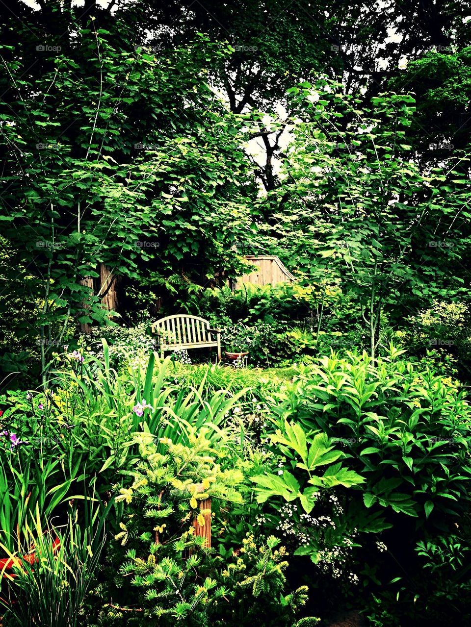 Garden Bench