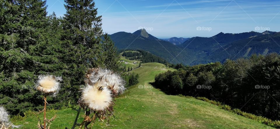 Unterwegs auf den Regenspitz