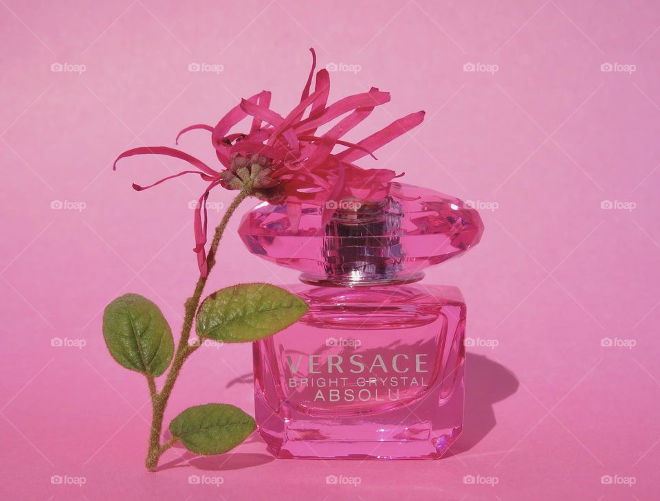 Versace Bright Crystal Absolu by a Pink Flower